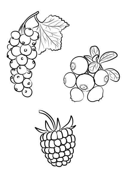 Раскраска "ягоды"