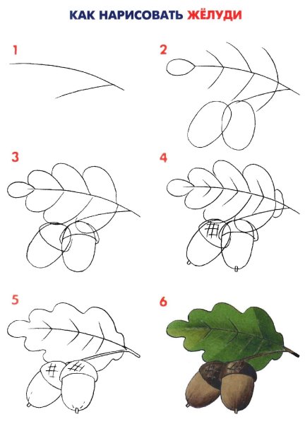 Схемы рисования листьев деревьев