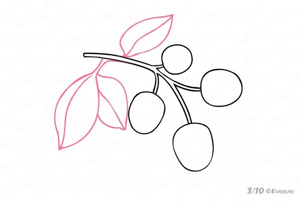 Ветка с ягодами рисование