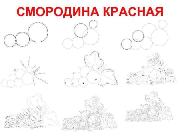 Ягоды раскраска для детей
