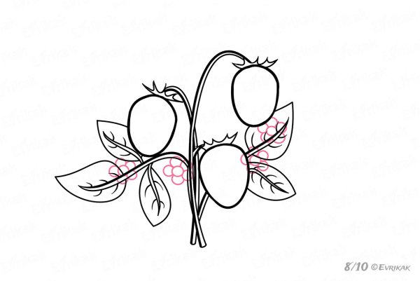 Поэтапное рисование фруктов