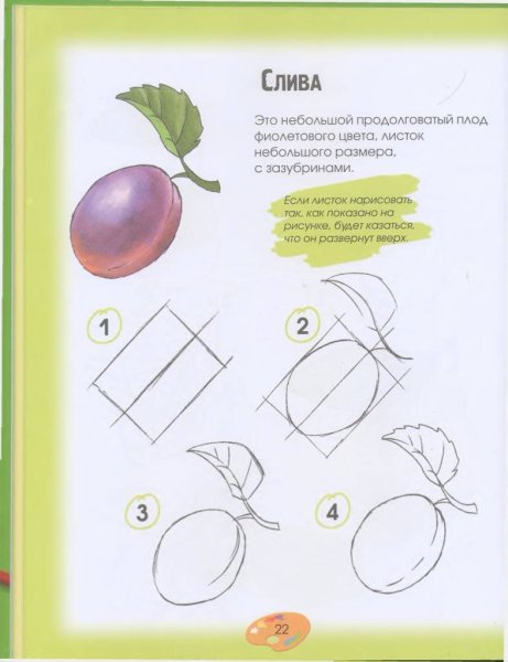 Рисование овощи и фрукты