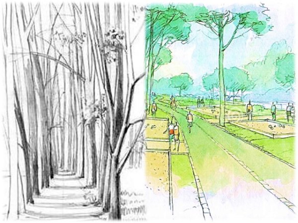 Рисование парков и скверов