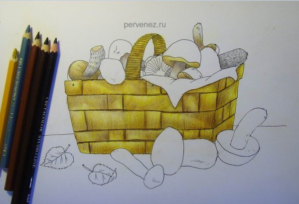 Корзинка для срисовки