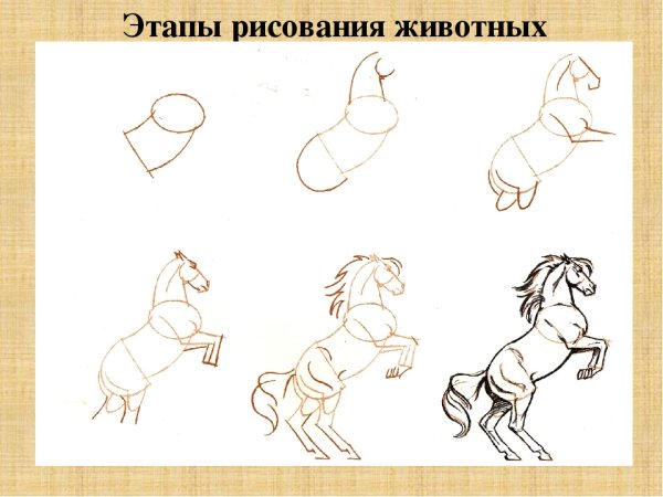 Зарисовки машин карандашом для начинающих