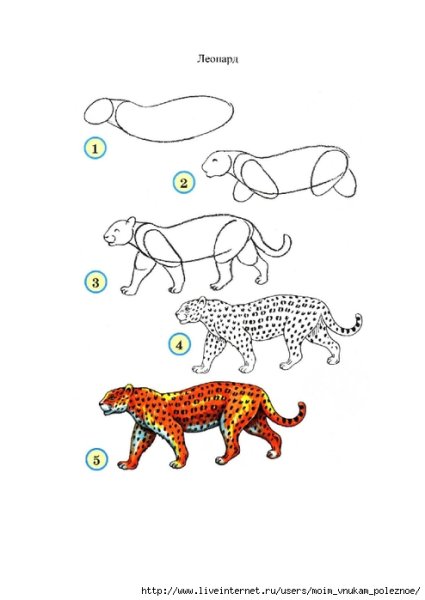Схема рисования леопард для детей