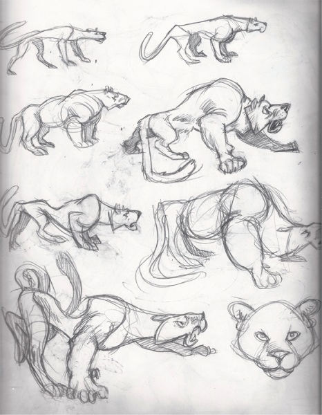 Ягуар рисунок пошагово