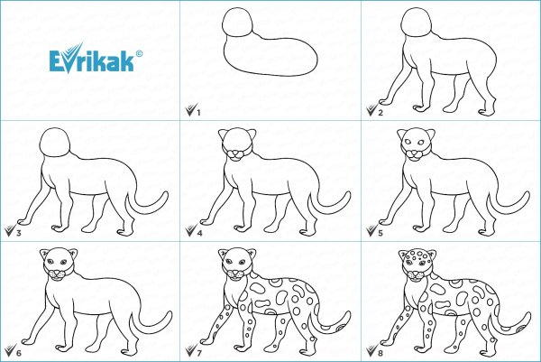 Леопард пошаговое рисование для детей