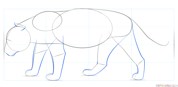 Ягуар рисунок карандашом поэтапно
