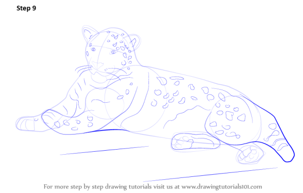 Ягуар рисунок карандашом поэтапно