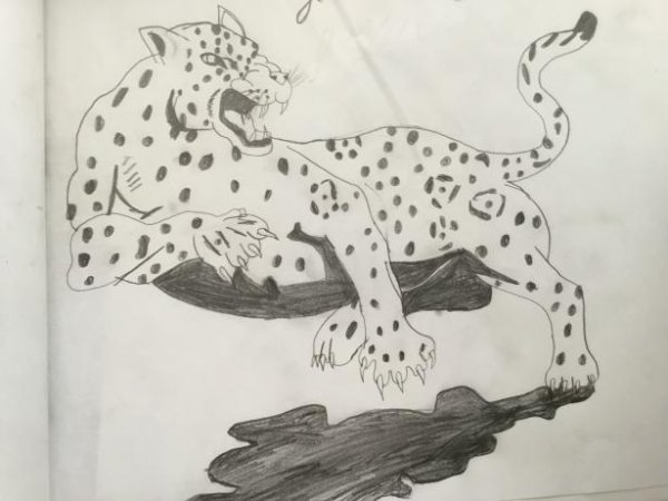 Ягуар в прыжке рисунок