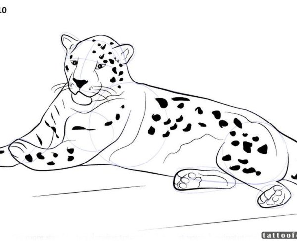 Ягуар рисовать легко