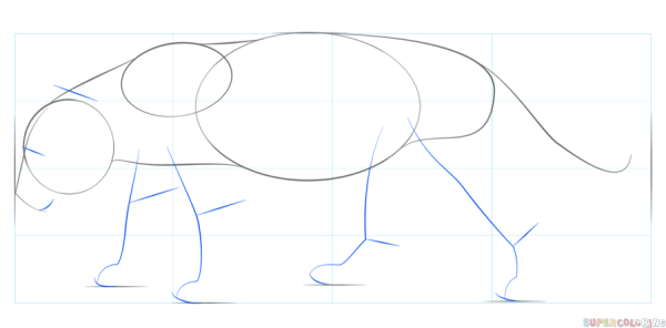 Поэтапное рисование Ягуар