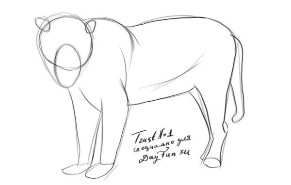 Нарисовать ягуара карандашом поэтапно для начинающих