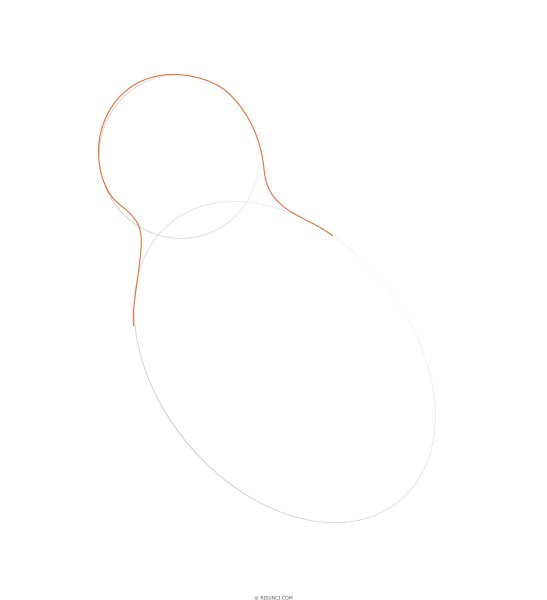 Поэтапное рисование соловья