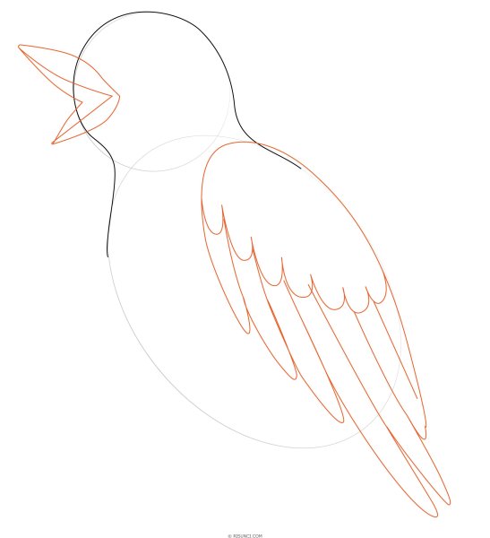 Жаворонок поэтапное рисование