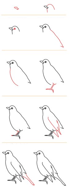 Поэтапное рисование скворца