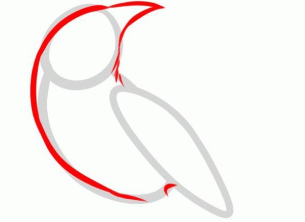 Жаворонок карандашом поэтапно