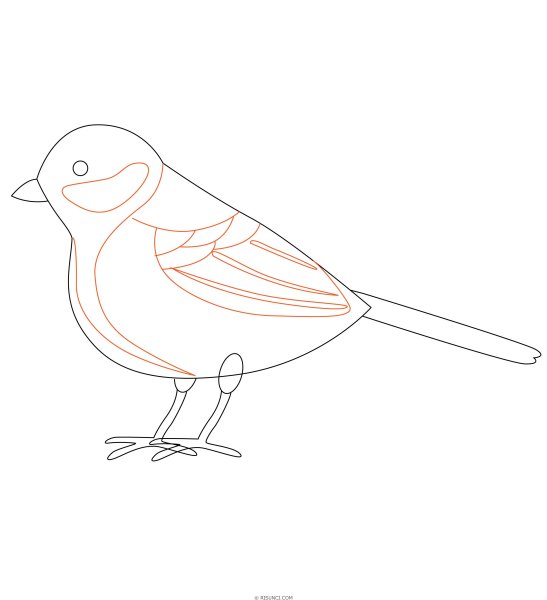 Синичка карандашом