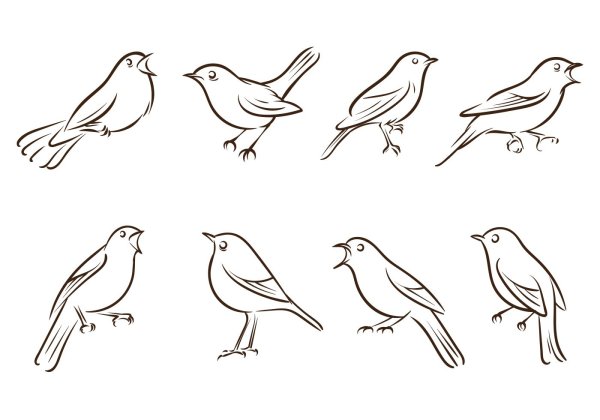 Маленькие рисунки птиц