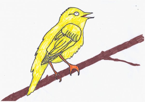 Соловей детские рисунки