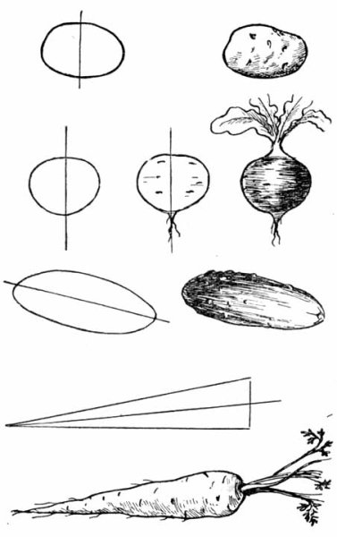 Поэтапное рисование овощей