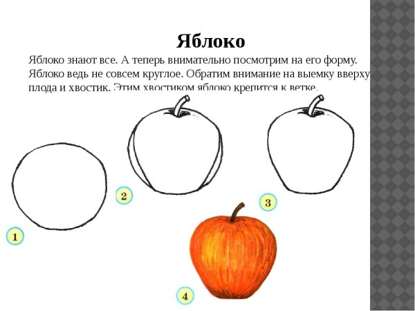 Схема рисования яблока для детей