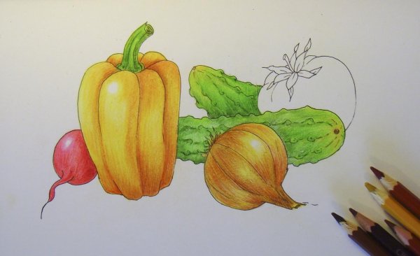 Рисование овощи и фрукты
