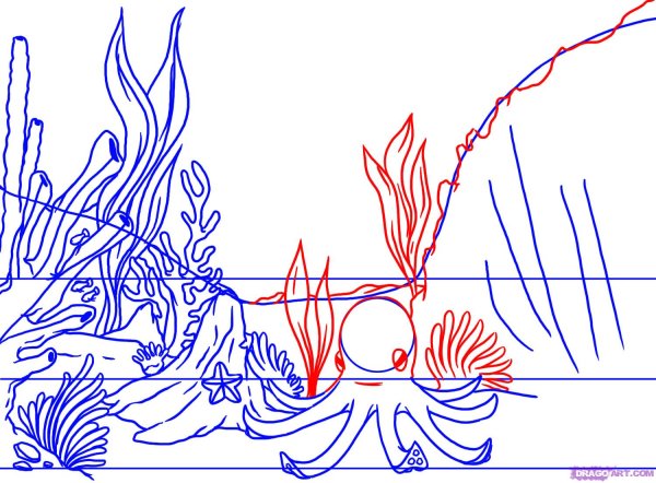 Поэтапное рисование карандашом кораллов