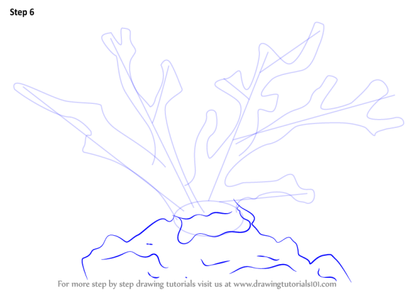 Кораллы поэтапное рисование