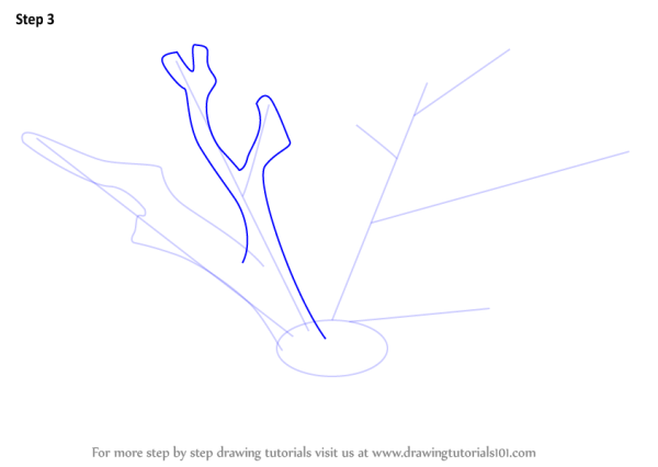 Поэтапное рисование карандашом кораллов