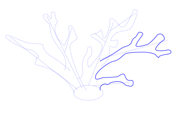 Кораллы поэтапное рисование