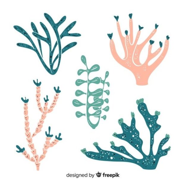 Водоросли для вырезания