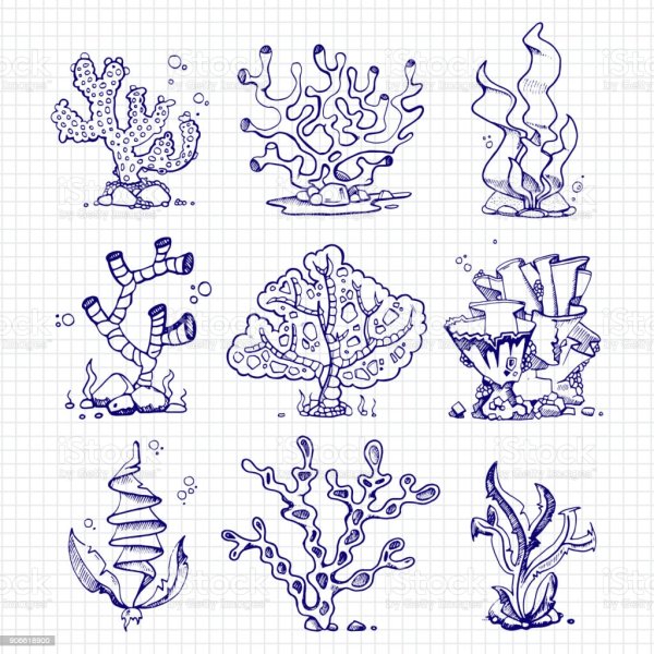 Кораллы для рисования