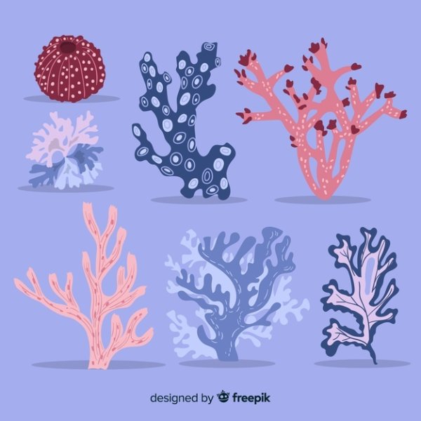 Коралл вектор плоский