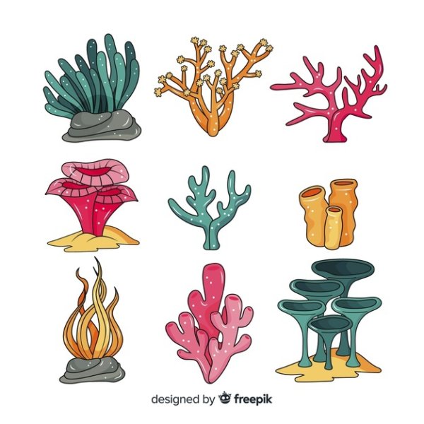 Кораллы эскиз