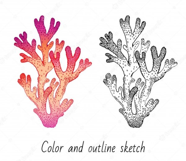 Кораллы вектор