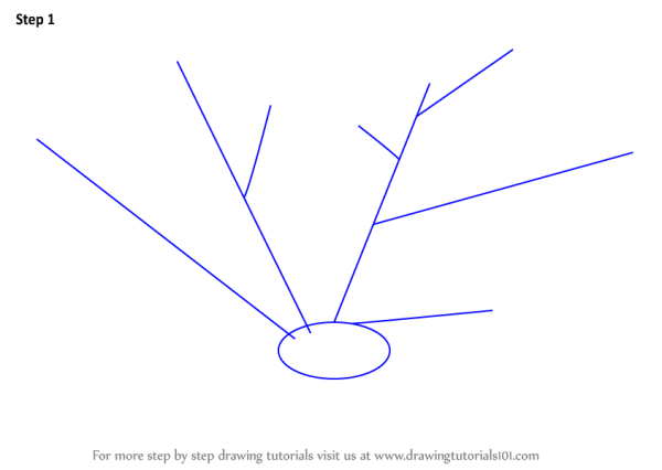 Кораллы трафарет