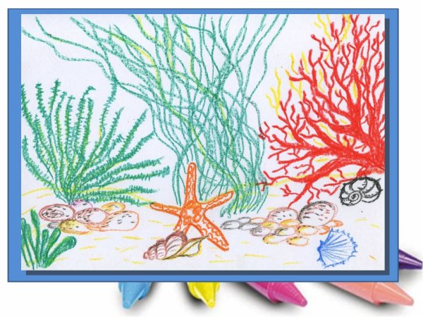 Кораллы рисовать поэтапно