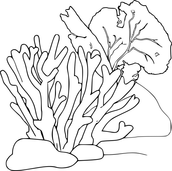 Мультяшные подземный коралл