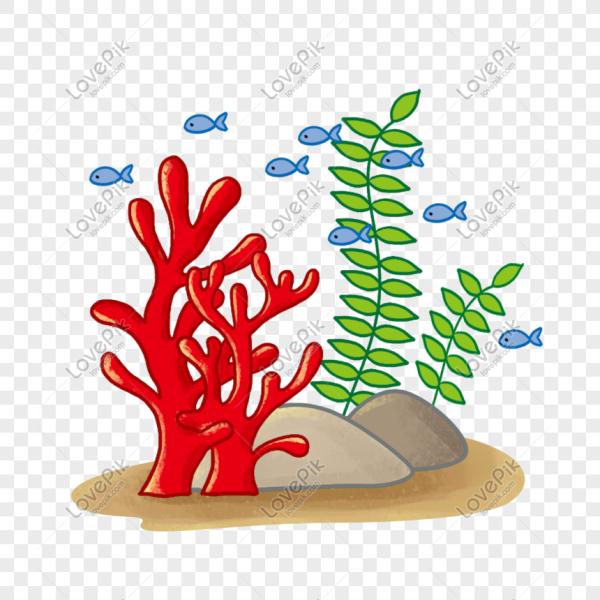 Кораллы рисунок гуашью