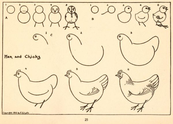 Рисование домашних птиц