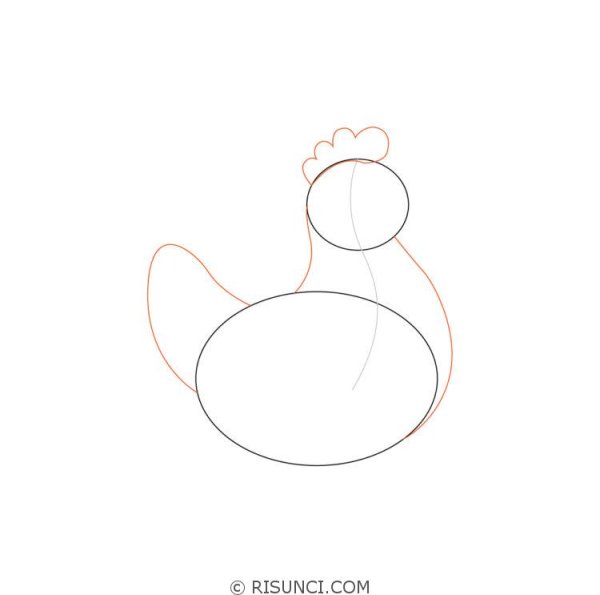 Наброски курицы