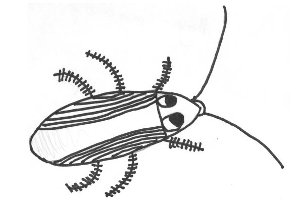 Таракан нарисованный
