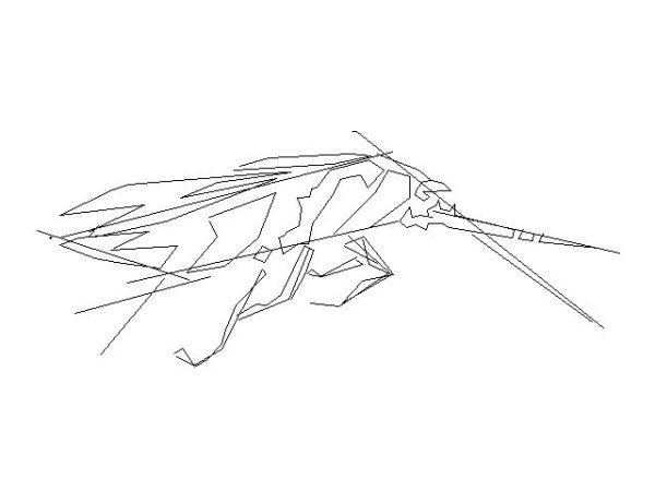 Рисунок таракана карандашом мультяшного