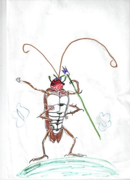 Таракан раскраска