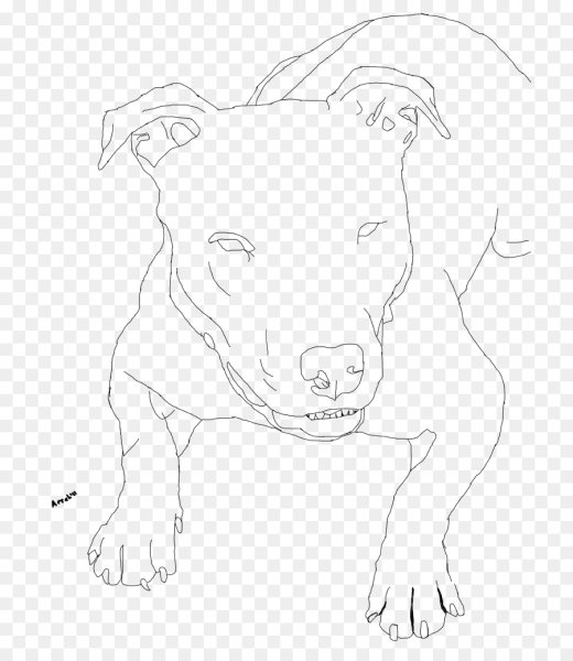 Питбуль поэтапно