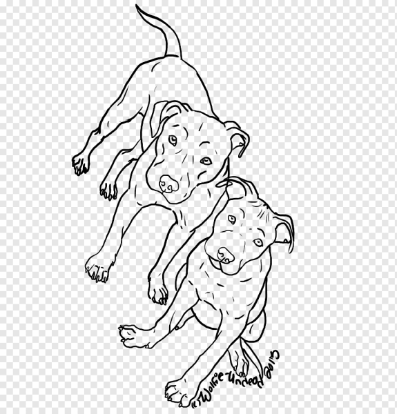 Раскраска собачка питбуль