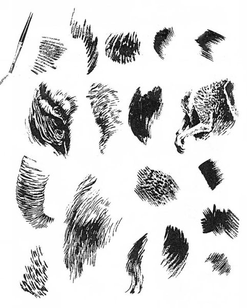 Фактура шерсти карандашом