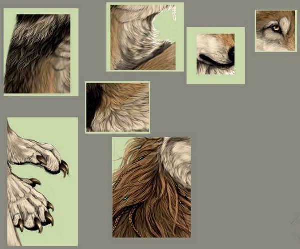 Прорисовка шерсти